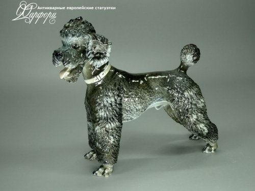 Купить фарфоровые статуэтки Rosenthal, Черный пудель, Германия